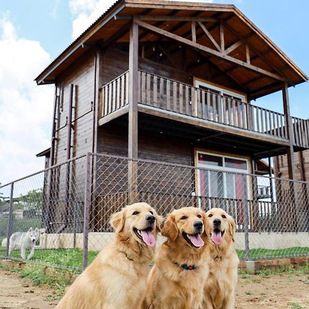 Therpup Resort Kammasandra Bagian luar foto