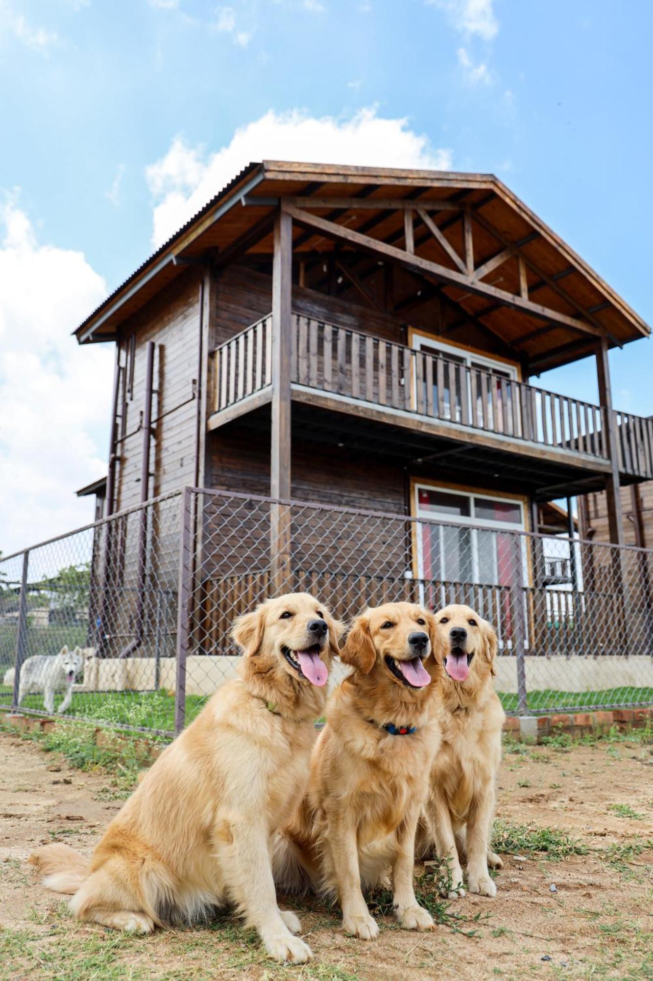 Therpup Resort Kammasandra Bagian luar foto